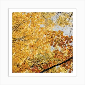 Yellow Autumn Leaves Art Print