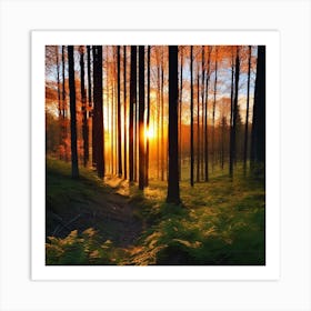 Sunset In The Forest 27 Art Print