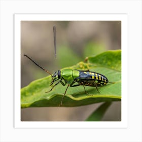 Beetle On Leaf 1 Art Print