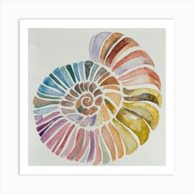 Nautilus Shell Art Print