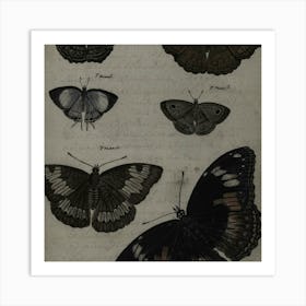 Collection Of Butterflies 2 Art Print