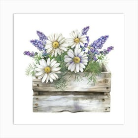 Daisies In A Wooden Box Art Print