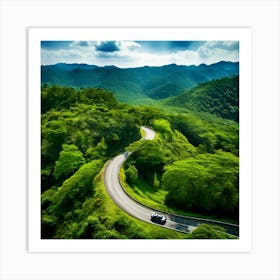 Treetop Car Scenic Tour Tourism Country Rural Green Zigzag Drive Road Background Topview (7) Art Print