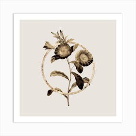 Gold Ring Field Bindweed Glitter Botanical Illustration n.0255 Art Print