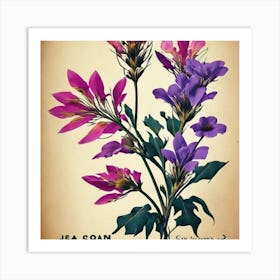 Jea Coan Flax3 Floral Botanical Vintage Poster Flower Art Print Art Print