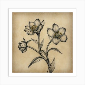 Flower Drawing Art Print