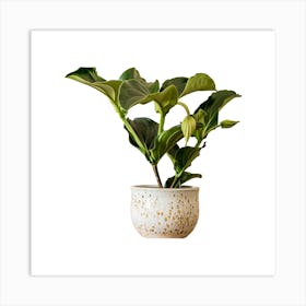 Potted Plant Art Print