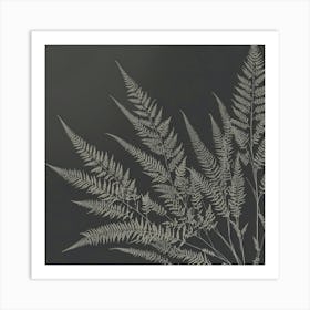 Ferns 15 Art Print