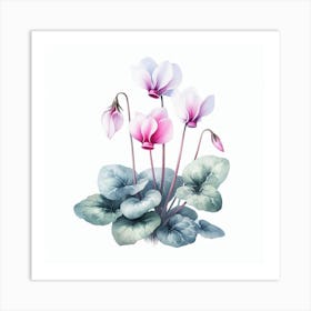 Flowers of Cyclamen 2 Art Print