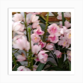 Pink Orchids 8 Art Print