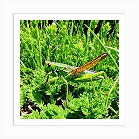 Grasshoppers Insects Jumping Green Legs Antennae Hopper Chirping Herbivores Garden Fields (13) Art Print