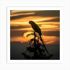 Parrot At Sunset Art Print