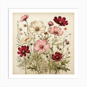 Cosmos Wildflower Vintage Botanical Art Print 2 Art Print