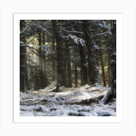 Snowy Forest Art Print