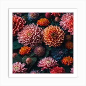 Warm dahlias Art Print