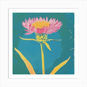 Cornflower 2 Square Flower Illustration Art Print