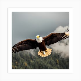 Bald Eagle In Flight Art Print