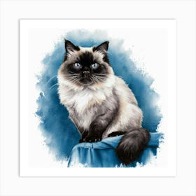 Siamese Cat Art Print