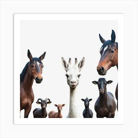 Group Of Horses 3 Art Print