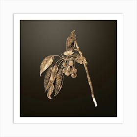 Gold Botanical Cherry on Chocolate Brown n.0199 Art Print