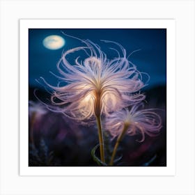 Moonlight Flower Art Print