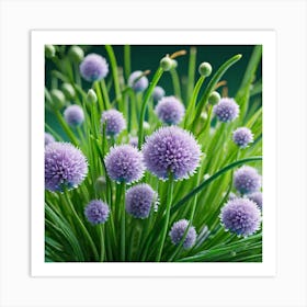 Chives 12 Art Print