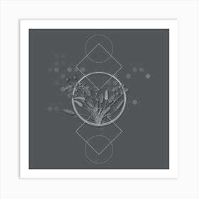 Vintage Starfruit Botanical with Line Motif and Dot Pattern in Ghost Gray n.0032 Art Print