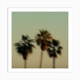 California Palm Trees Square Blurry Pastel Colors Minimalist Art Print