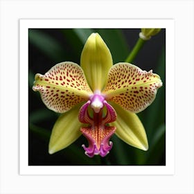 A Close Up Of A Single Exotic Orchid With Intricate Patterns 2 Art Print