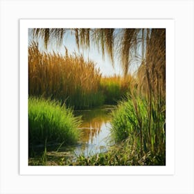 Reeds In The Marsh Art Print