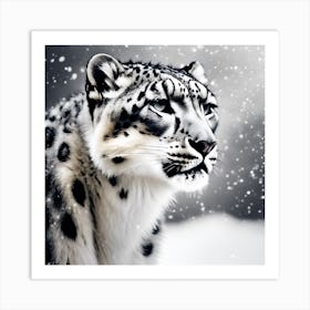 Observing the Winter Landscape, Snow Leopard Art Print