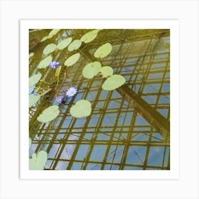 Water Lilies 1 Art Print