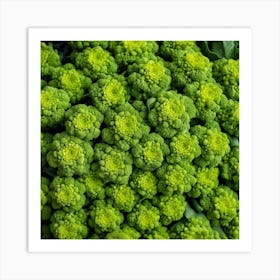 Green Broccoli At The Market 1 Art Print