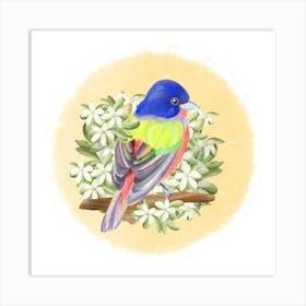 Passerin Art Print