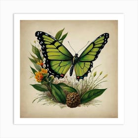 Butterfly 1 Art Print