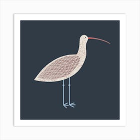 Curlew Coastal Wading Bird Art Print