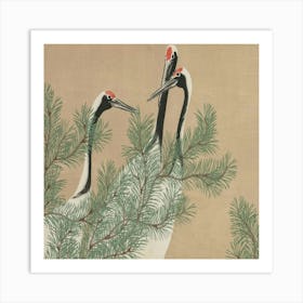 Cranes In A Pine Tree Art Print