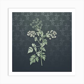 Vintage Hemlock Flowers Botanical on Slate Gray Pattern n.2148 Art Print