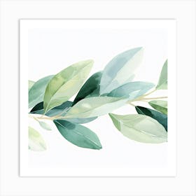 Green Olive Branch Art Print