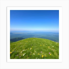 Wildflowers On A Mountain 1 Art Print