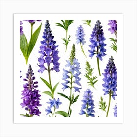 Nature Pattern Isolate White Arrangement Purple Flat Floral Blue Natural Herbal Medicine (10) Art Print