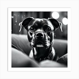 Black And White Dog Portrait 2 Art Print