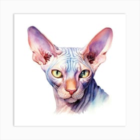 Don Sphynx Odd Eyed Cat Portrait 3 Art Print