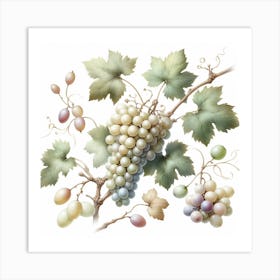 White Grapes and Vine 2 Art Print