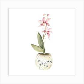 Orchid In A Pot Art Print