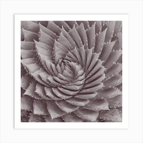 Spiral Plant Art Print