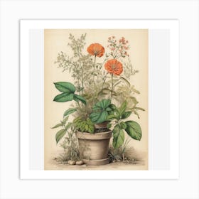 Orange Flowers In A Pot Art Print