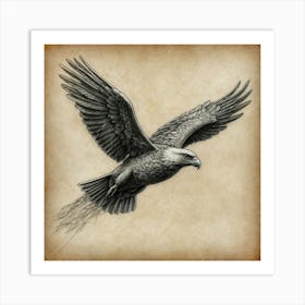 Eagle In Flight Art Print