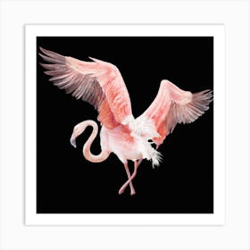 Flamingo 1 Art Print