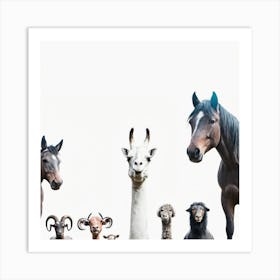 Group Of Animals Art Print